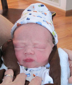 Danian at 6 hours old