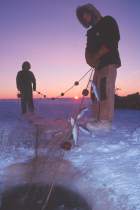 boys pulling net-sunset